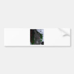 Jukurenko 2 bumper sticker