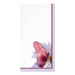 Julia Butterfly photo cards