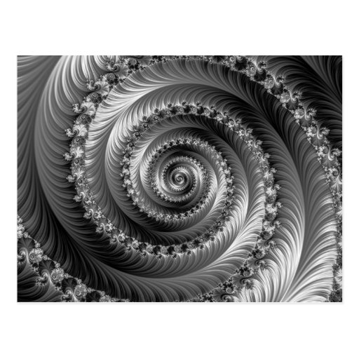 Julian Black and White Spiral Postcard