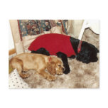 julie's journal - another chapter ends postcards
