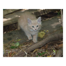 July 2013 photo print