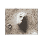 July 25, 1976 Viking Orbiter 1 Image (35a72) Canvas Prints