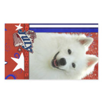 July 4th Firecracker - American Eskimo