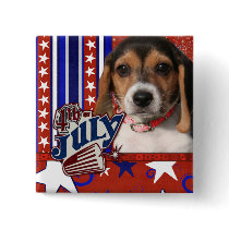 July 4th Firecracker - Beagle Puppy