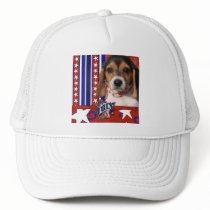 July 4th Firecracker - Beagle Puppy