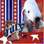 July 4th Firecracker - Bedlington Terrier photo sculptures