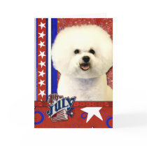 July 4th Firecracker - Bichon Frise