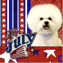 July 4th Firecracker - Bichon Frise