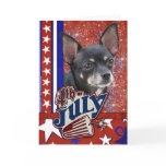 July 4th Firecracker - Chihuahua