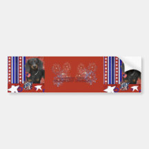 July 4th Firecracker - Dachshund - Winston Bumper Sticker