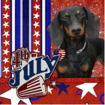 July 4th Firecracker - Dachshund - Winston