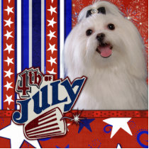 July 4th Firecracker - Maltese