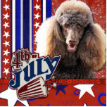 July 4th Firecracker - Poodle - Chocolate photo sculptures
