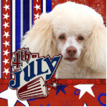July 4th Firecracker - Poodle - White photo sculptures