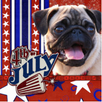 July 4th Firecracker - Pug