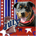 July 4th Firecracker - Rottweiler - SambaParTi photo sculptures