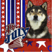 July 4th Firecracker - Shiba Inu - Yasha