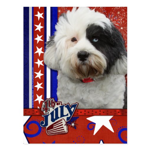 July 4th Firecracker - Tibetan Terrier Post Cards