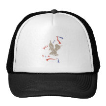 July 4th USA Hat