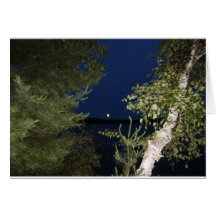 July Moon over Nancy Lake Cards