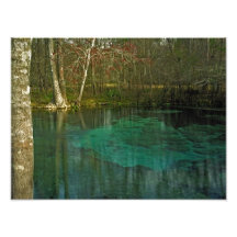 July Spring I. Columbia County, Florida. Art Photo