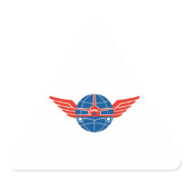 Jumbo Jet Plane Front Wings Globe