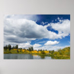 jumbo lake print