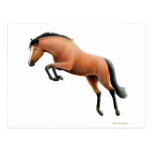 Jumping Bay Horse Postcard