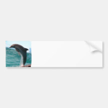 Jumping Dolphin Bumper Stickers