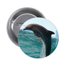 Jumping Dolphin Button