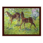 Jumping Foals By Marc Franz Post Card