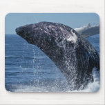 Jumping Humpback Whale Mouse Pad