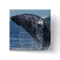Jumping Humpback Whale Pin