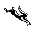 Jumping Jack Rabbit t-shirts