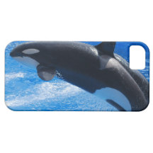 Jumping Orca Whale iPhone 5 Covers