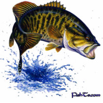 Jumping Smallmouth Sculpture Photo Cutouts