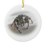 Jumping Spider Phiddipus audax Christmas Ornament
