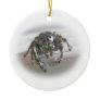 Jumping Spider Phiddipus audax Christmas Ornament
