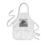 Jumping Spider (Phiddipus audax) Kid's Apron