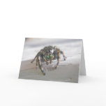 Jumping Spider (Phiddipus audax) Note Card