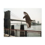 Jumping the Brooklyn Bridge Postcard