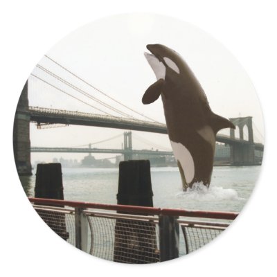 Jumping the Brooklyn Bridge Sticker by thehatch