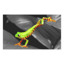 Jumping Tree Frog Stickers