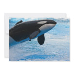 Jumping Whale Invitation