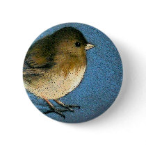JUNCO BIRD DRAWING