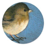 JUNCO BIRD DRAWING stickers