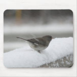 Junco Mousepad