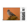 Junco Stamp