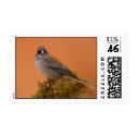 Junco postage