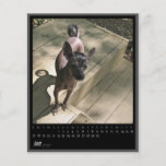 june 2012 calendar personalized flyer